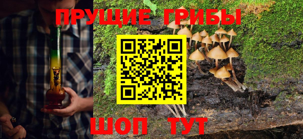 Псилоцибиновые грибы Cubensis  Галлюциногенные грибы Psilocybine cubensis  Моздок  Вход с VPN 